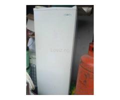 Haier Thermocool Ice Master HF 250T